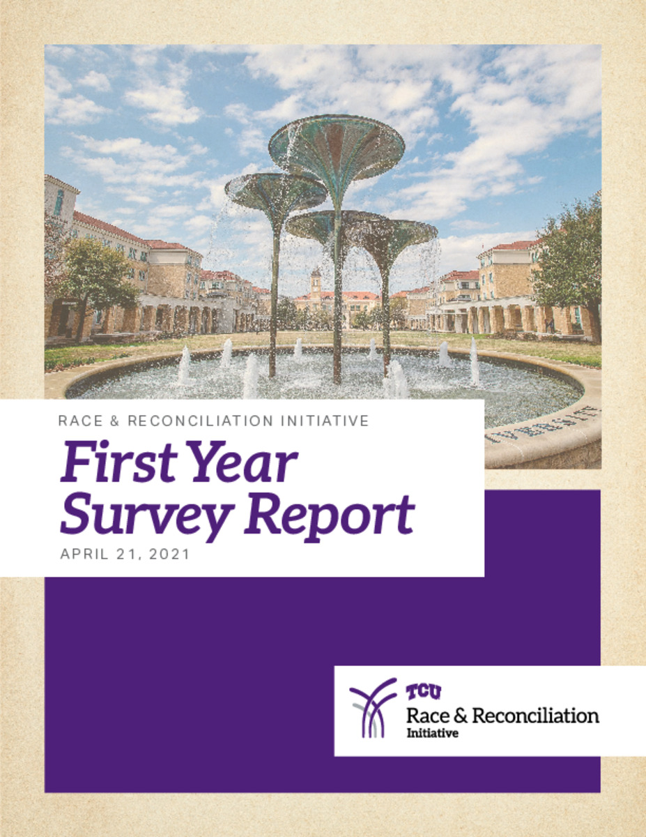 First Year Survey Report image